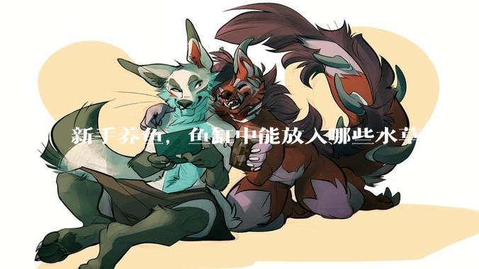 新手养鱼，鱼缸中能放入哪些水草？