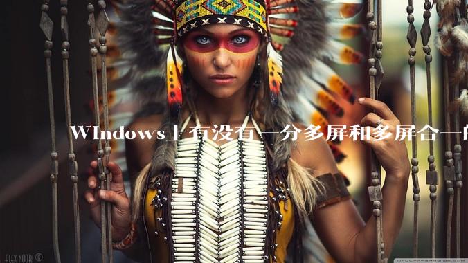 Windows上有没有一分多屏和多屏合一的软件？