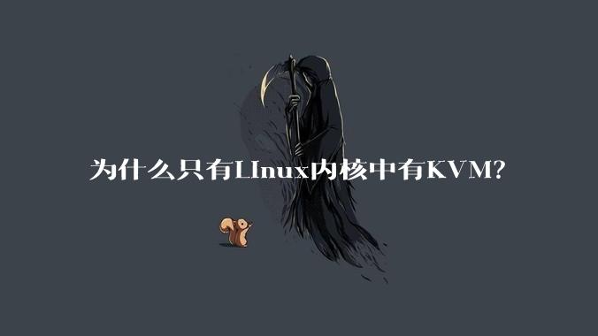 为什么只有Linux内核中有KVM？
