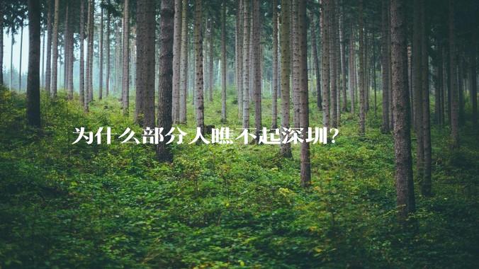 为什么部分人瞧不起深圳？