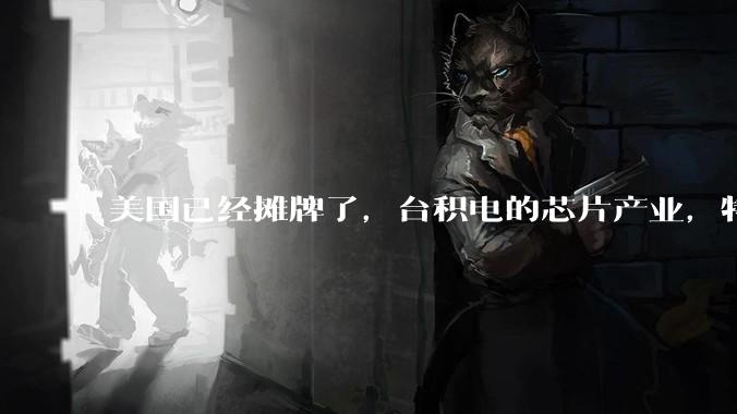 美国已经摊牌了，台积电的芯片产业，特朗普想跟大陆“四六分账”_特尼克_台企_美方