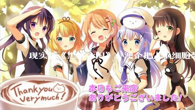 现实版《黑客帝国》？澳企把人脑细胞装进芯片当计算机，已学会了打游戏_神经元_初创公司_人类