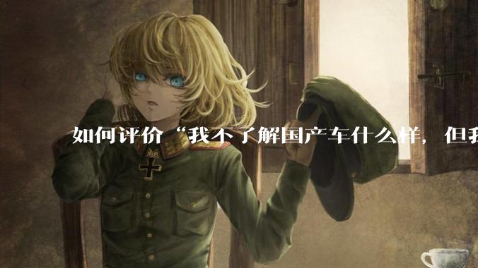 如何评价“我不了解国产车什么样，但我了解中国人什么样”这一观点？