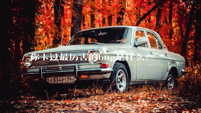 你卡过最厉害的bug是什么？