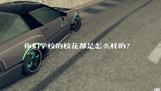 你们学校的校花都是怎么样的？