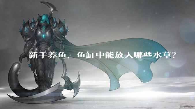 新手养鱼，鱼缸中能放入哪些水草？
