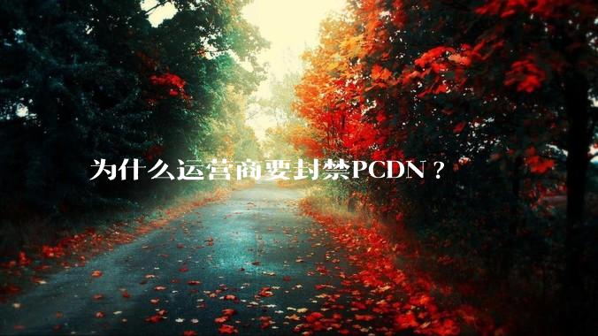 为什么运营商要封禁PCDN?