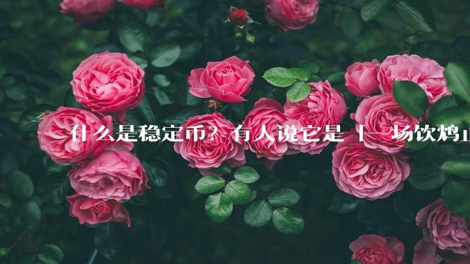 什么是稳定币？有人说它是「一场饮鸩止渴的游戏」，你怎么看？