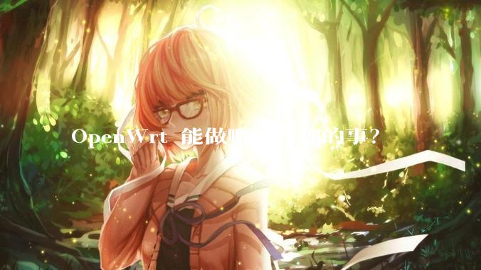 OpenWrt 能做哪些有趣的事？