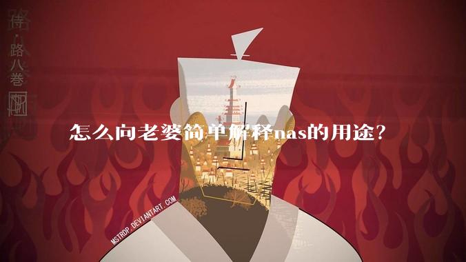 怎么向老婆简单解释nas的用途？