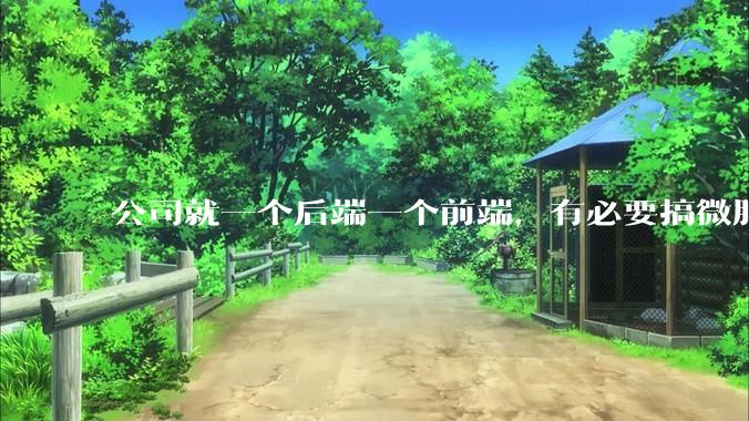 公司就一个后端一个前端，有必要搞微服务吗？